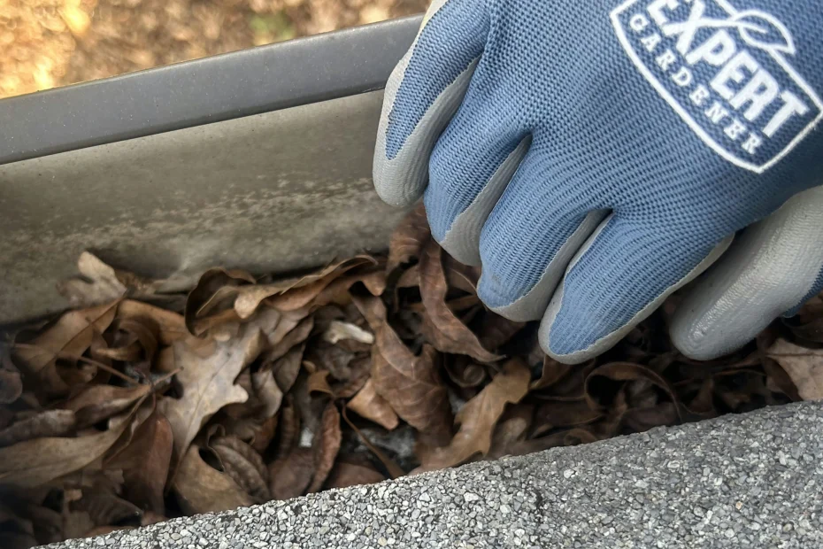 Mendon Gutter Cleaning