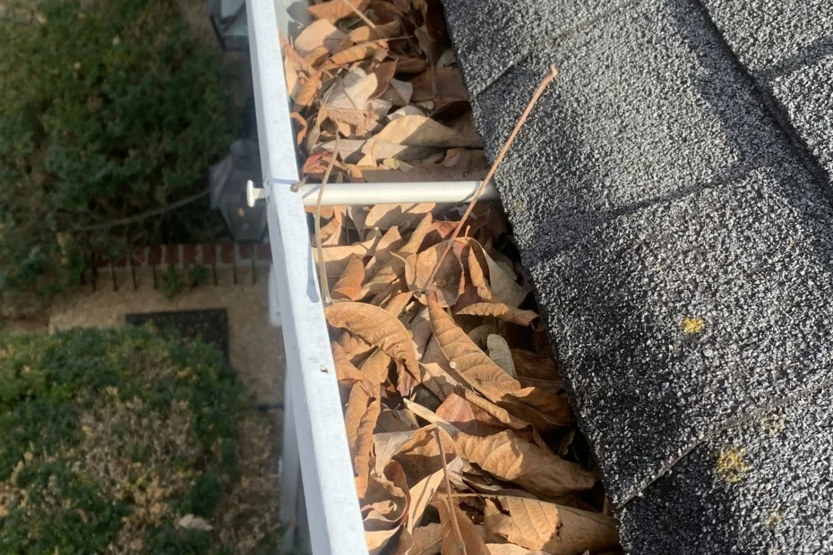 Mendon Gutter Cleaning