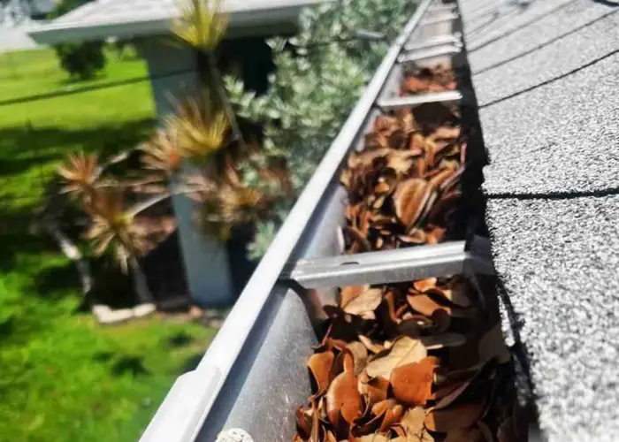 Mendon gutter cleaning home page